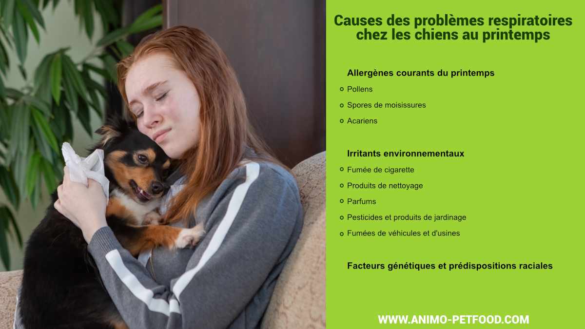 prevenir-les-problemes-respiratoires-chez-votre-chien